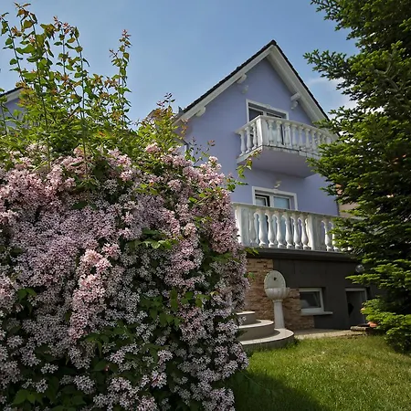 Katica * זלקרוס